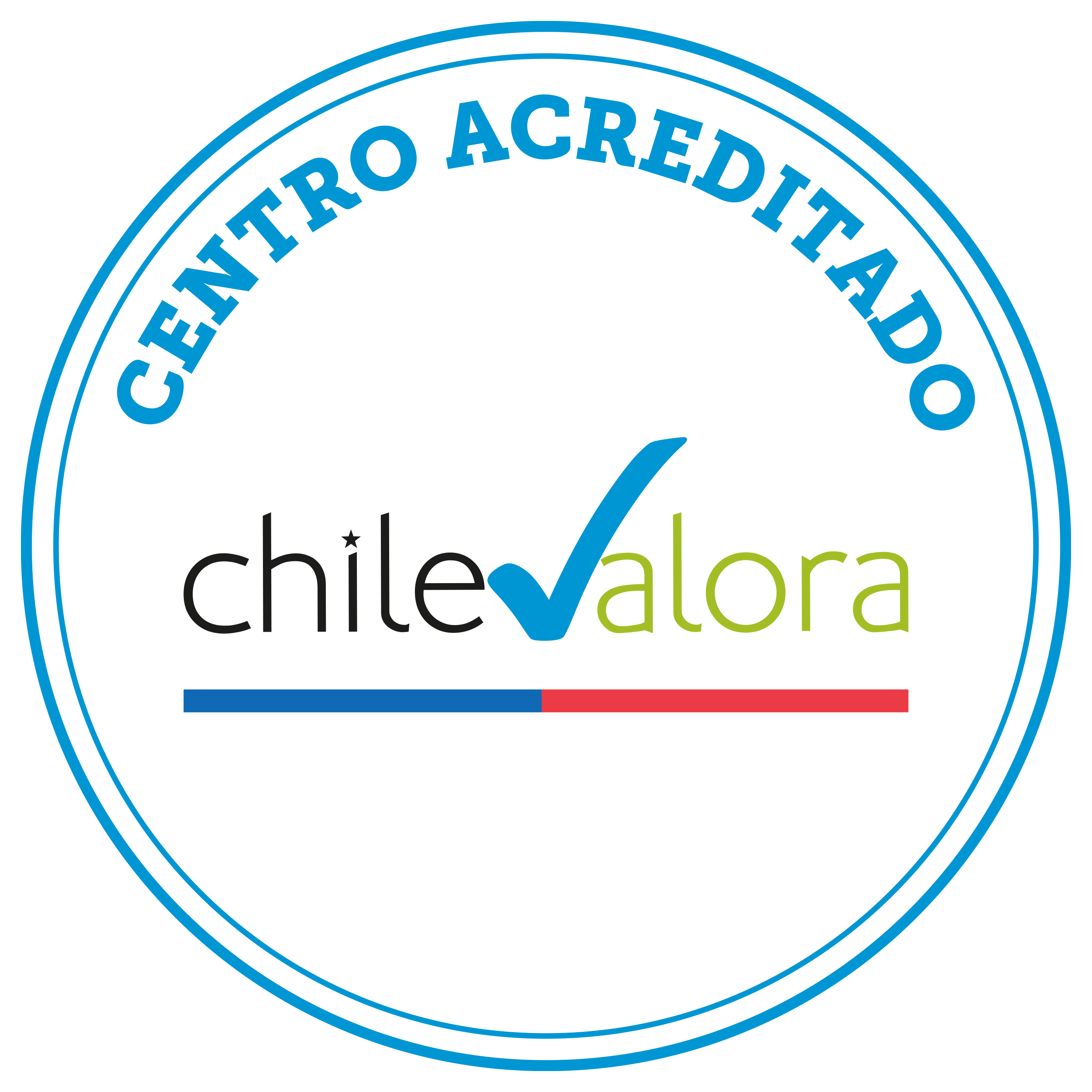 Sello ChileValora
